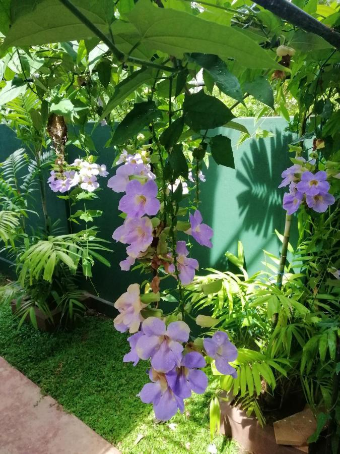 Heaven In Satinwoods Hotel Tangalle Exterior photo